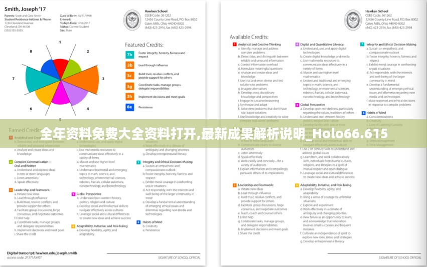 全年资料免费大全资料打开,最新成果解析说明_Holo66.615