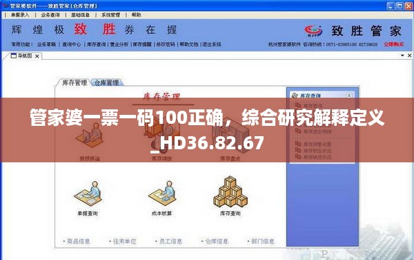 管家婆一票一码100正确，综合研究解释定义_HD36.82.67