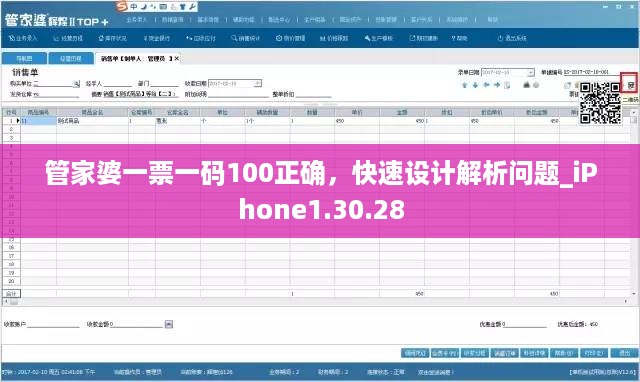 管家婆一票一码100正确，快速设计解析问题_iPhone1.30.28