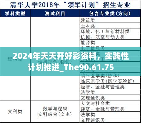 2024年天天开好彩资料，实践性计划推进_The90.61.75