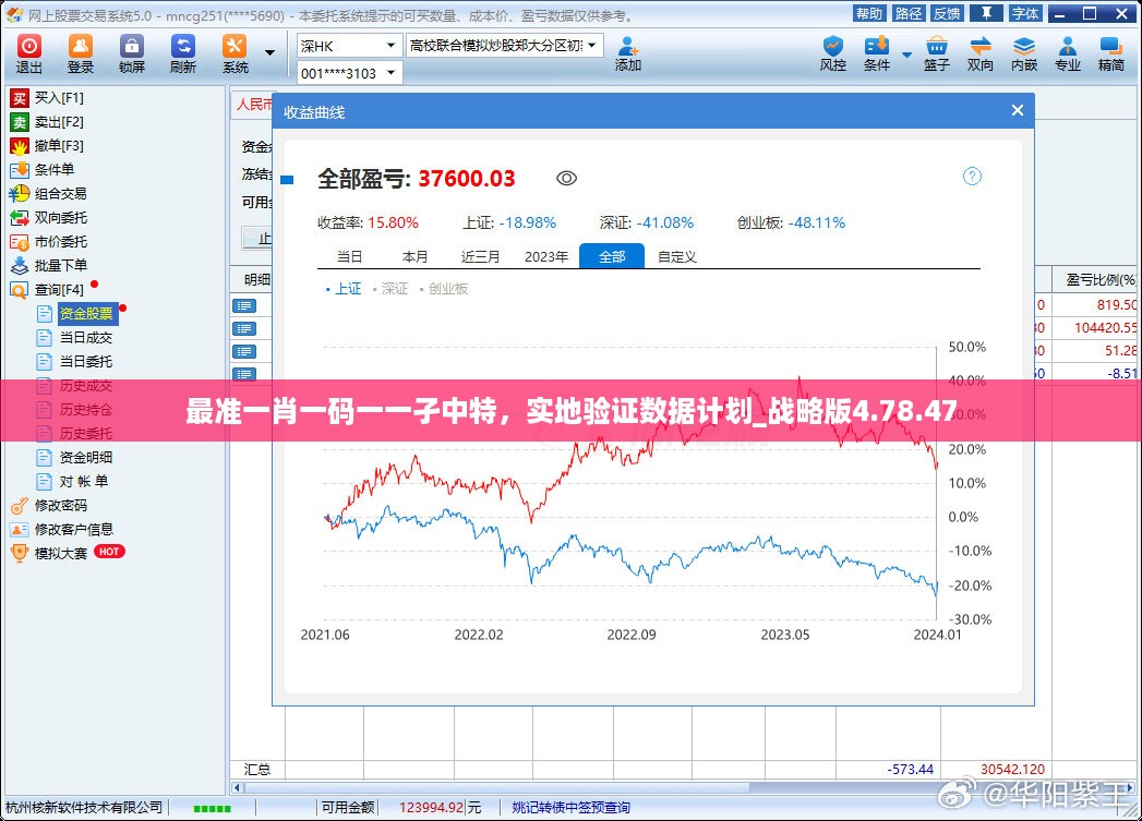 最准一肖一码一一孑中特，实地验证数据计划_战略版4.78.47