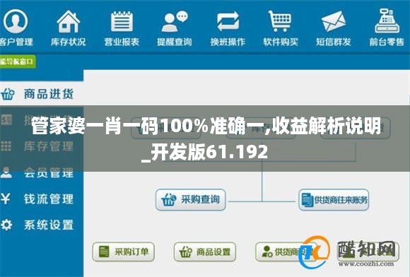 管家婆一肖一码100%准确一,收益解析说明_开发版61.192