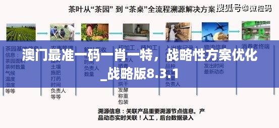 澳门最准一码一肖一特，战略性方案优化_战略版8.3.1