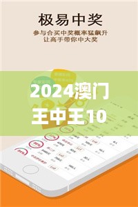 2024澳门王中王100%期期中,数据支持设计解析_tShop74.80