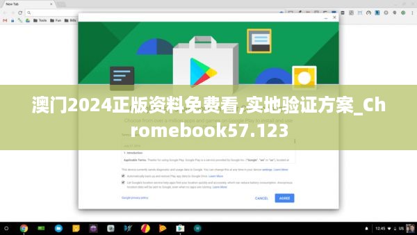 澳门2024正版资料免费看,实地验证方案_Chromebook57.123