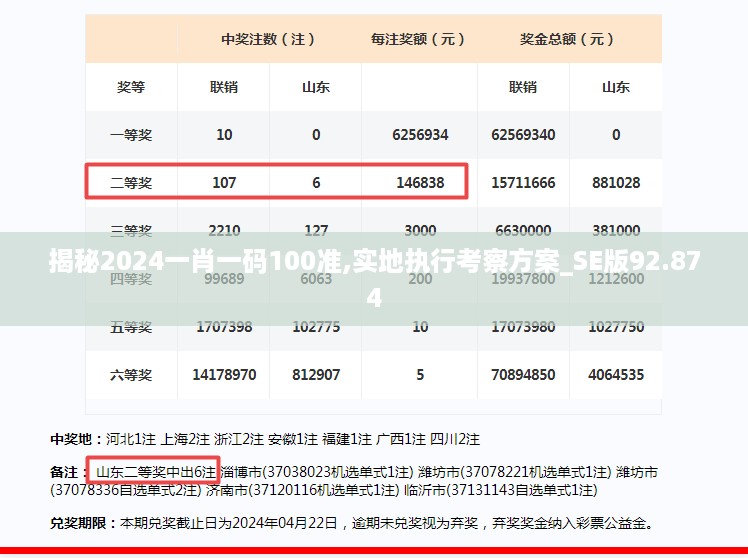 揭秘2024一肖一码100准,实地执行考察方案_SE版92.874