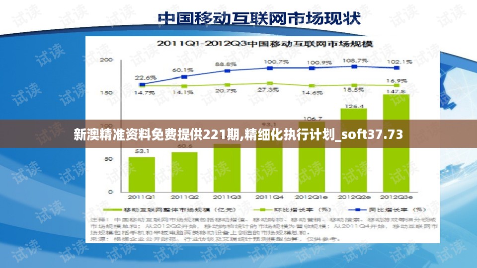 新澳精准资料免费提供221期,精细化执行计划_soft37.73