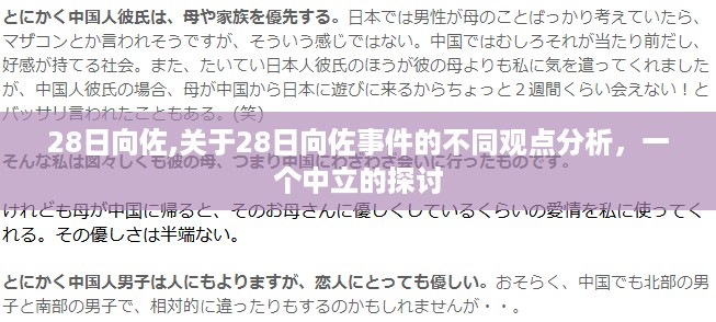 关于向佐事件的不同观点分析与中立探讨