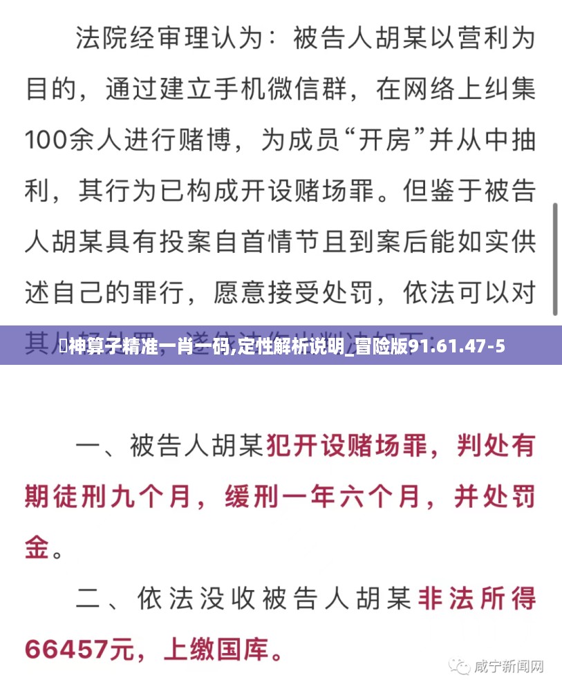 巜神算子精准一肖一码,定性解析说明_冒险版91.61.47-5