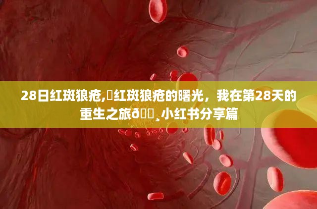 红斑狼疮重生之旅，第28天的曙光与重生故事（小红书分享篇）