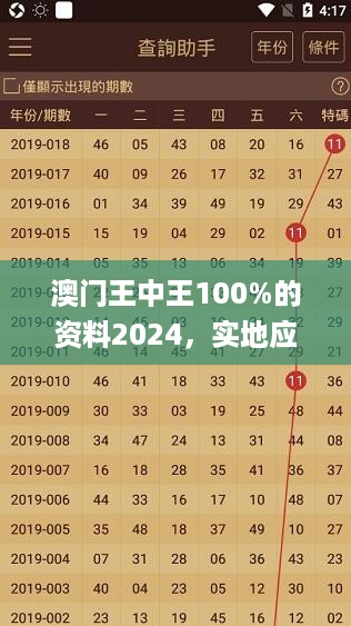 澳门王中王100%的资料2024，实地应用验证数据_网页版98.53.63