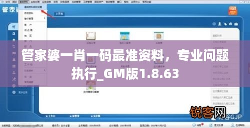 管家婆一肖一码最准资料，专业问题执行_GM版1.8.63