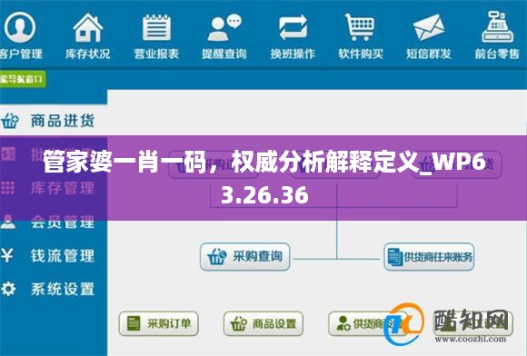 管家婆一肖一码，权威分析解释定义_WP63.26.36