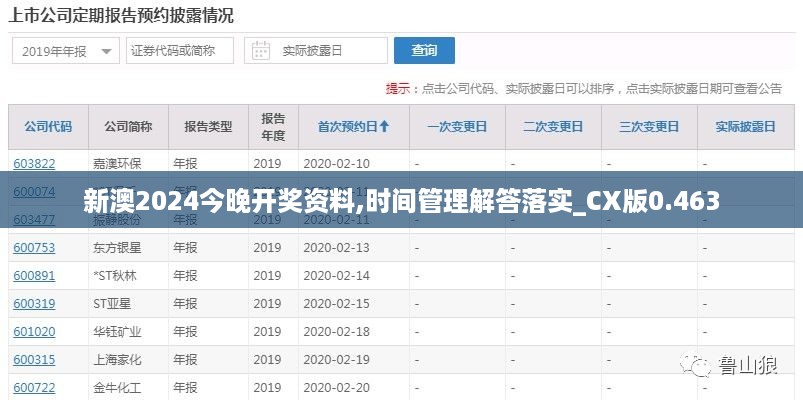 新澳2024今晚开奖资料,时间管理解答落实_CX版0.463