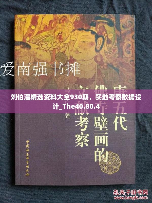 刘伯温精选资料大全930期，实地考察数据设计_The40.80.4