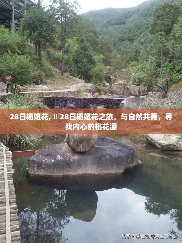 杨妞花之旅，与自然共舞，探寻内心桃花源