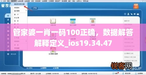 管家婆一肖一码100正确，数据解答解释定义_ios19.34.47