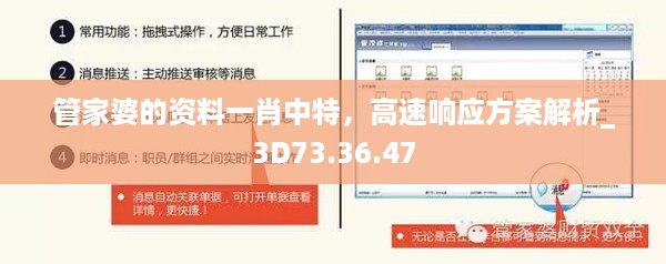 管家婆的资料一肖中特，高速响应方案解析_3D73.36.47