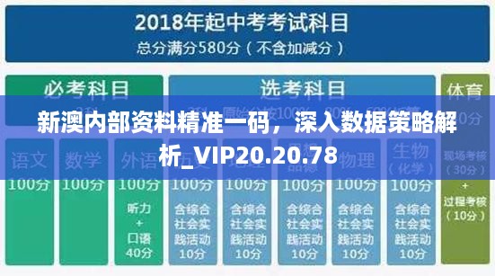 新澳内部资料精准一码，深入数据策略解析_VIP20.20.78