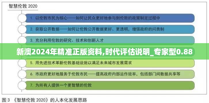 新澳2024年精准正版资料,时代评估说明_专家型0.88