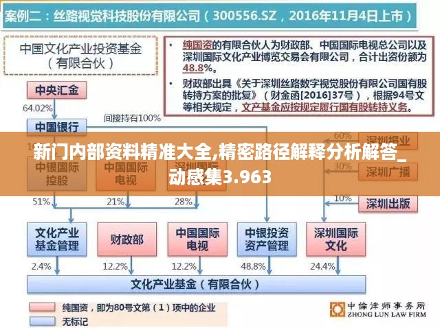 新门内部资料精准大全,精密路径解释分析解答_动感集3.963