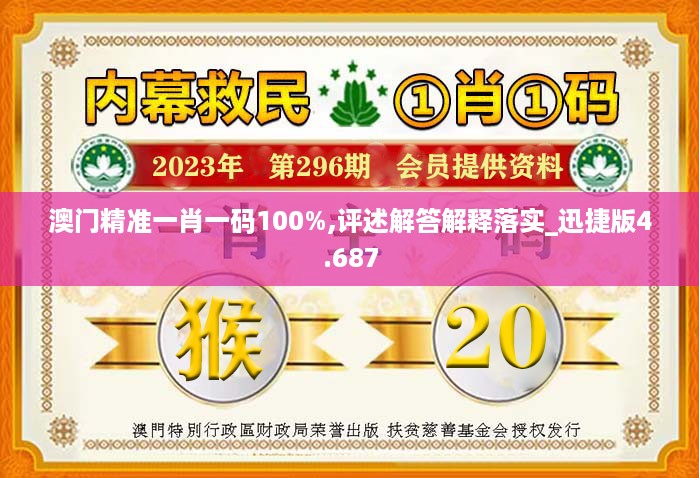 澳门精准一肖一码100%,评述解答解释落实_迅捷版4.687