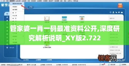 管家婆一肖一码最准资料公开,深度研究解析说明_XY版2.722