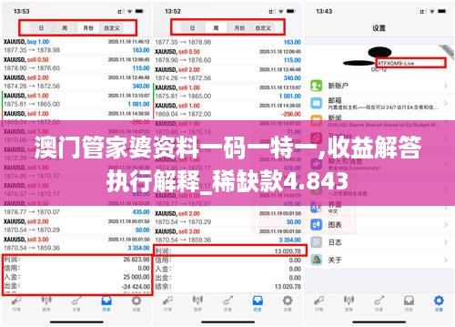 澳门管家婆资料一码一特一,收益解答执行解释_稀缺款4.843