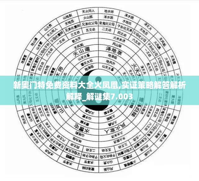 新奥门特免费资料大全火凤凰,实证策略解答解析解释_解谜集7.003