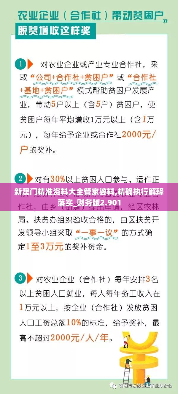 新澳门精准资料大全管家婆料,精确执行解释落实_财务版2.901