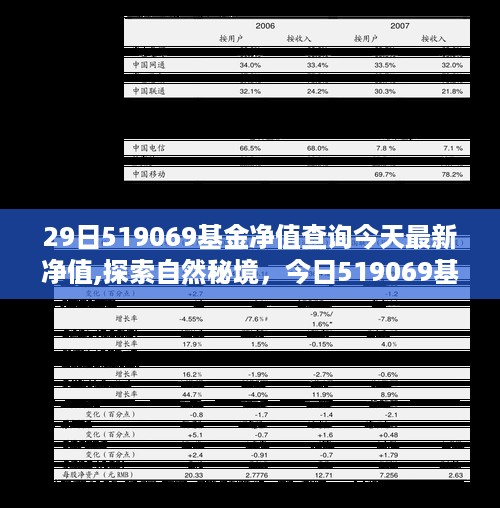 今日探索自然秘境，揭秘519069基金净值背后的宁静之旅最新净值查询