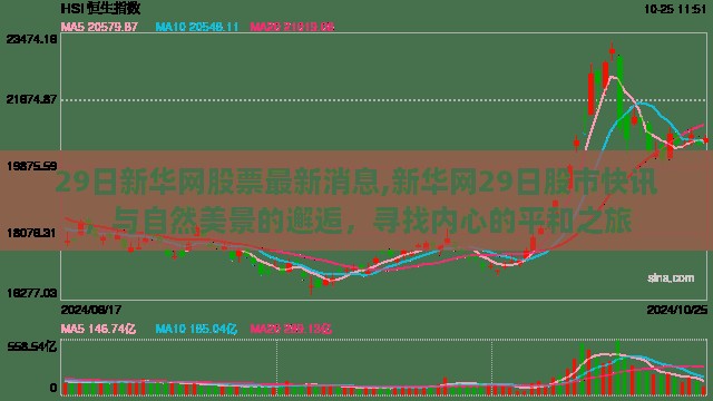 新华网最新股市快讯，与自然美景的邂逅与内心平和之旅的探寻