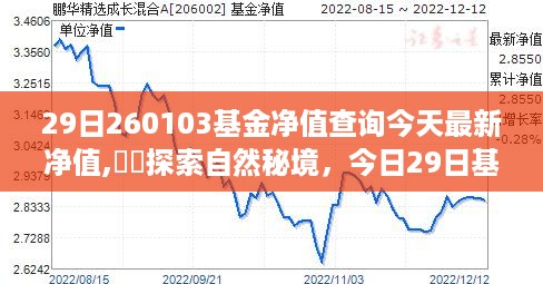 今日最新净值探索，自然秘境的心灵之旅——基金净值查询（2月29日）