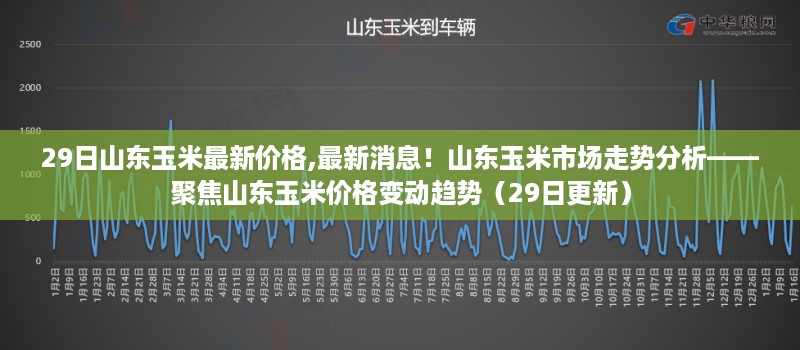 山东玉米最新价格与市场走势分析（29日更新）——聚焦玉米市场动态趋势报告