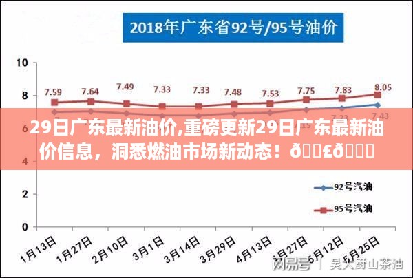 重磅更新，29日广东最新油价信息，燃油市场趋势大解析！