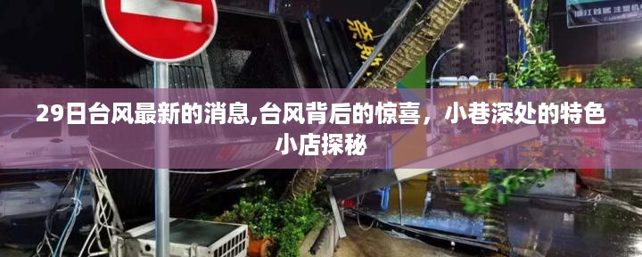 台风最新消息与小巷探秘，惊喜背后的故事