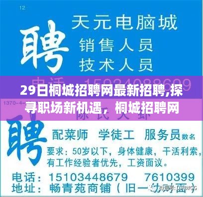 桐城招聘网最新招聘信息更新，职场新机遇探寻（29日更新）