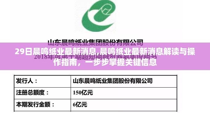晨鸣纸业最新消息解读与操作指南，掌握关键信息的一步指南