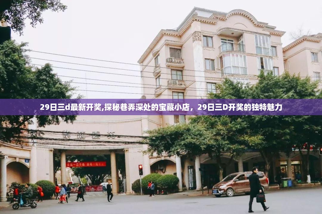 探秘宝藏小店，揭秘29日三D开奖的独特魅力与巷弄深处的惊喜发现