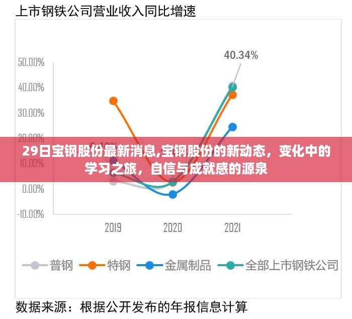 宝钢股份新动态，变化中的学习之旅，自信与成就感的源泉