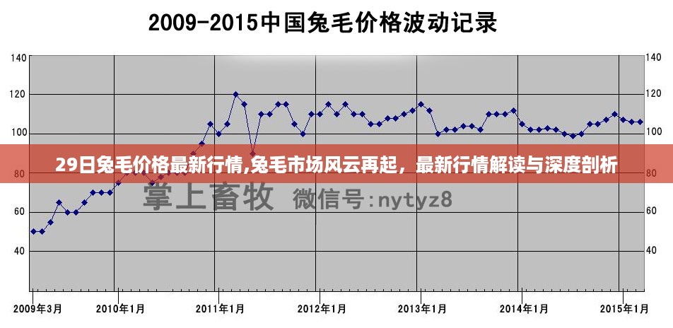 兔毛市场风云再起，最新行情解读与深度剖析（29日最新行情）