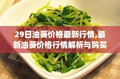 橘虞初梦 第48页