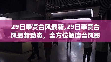 最新动态解读，奉贤台风影响与应对措施