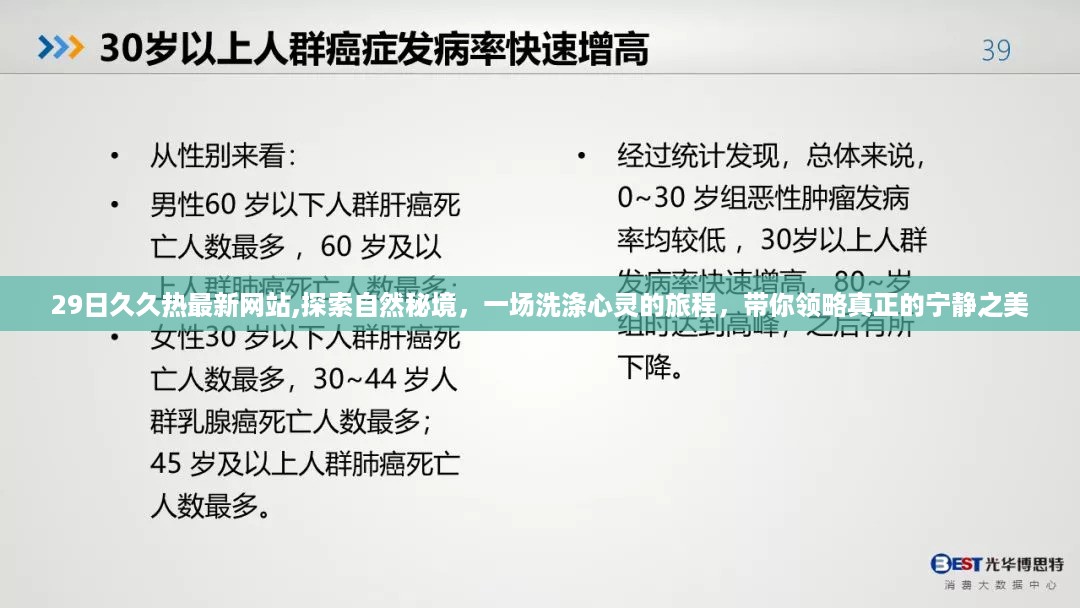 29日久久热最新网站,探索自然秘境，一场洗涤心灵的旅程，带你领略真正的宁静之美