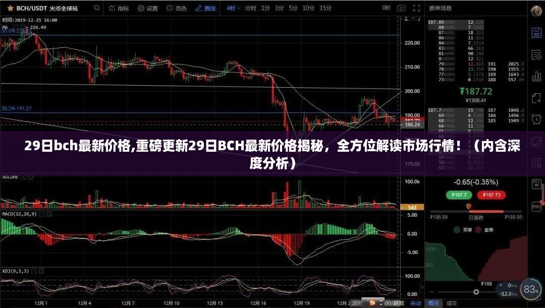 重磅揭秘，BCH最新价格深度解读与市场全方位分析！