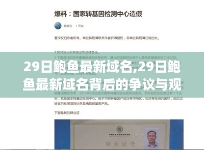 鲍鱼最新域名热议背后的争议与观点探讨