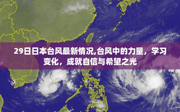 日本台风最新动态，风雨中的力量与希望之光