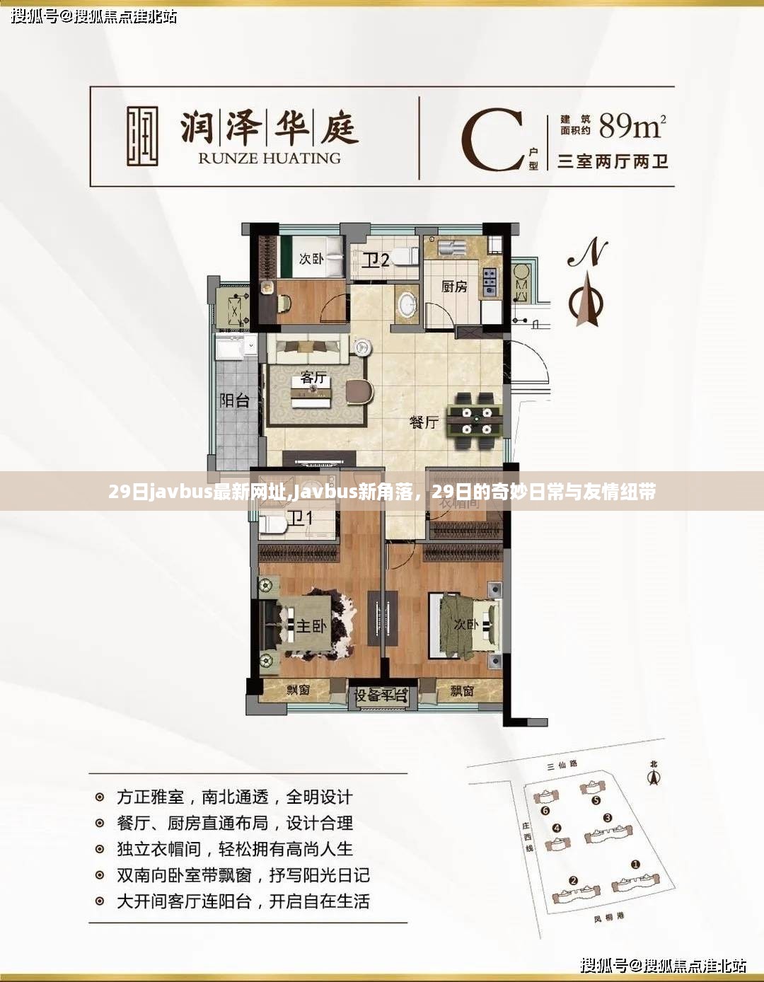 Javbus最新网址揭秘，29日的奇妙日常与友情纽带探索