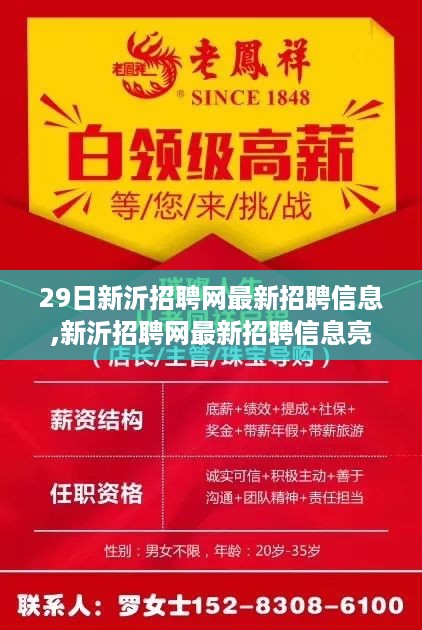 深度解析，新沂招聘网最新招聘信息亮点与要点探讨