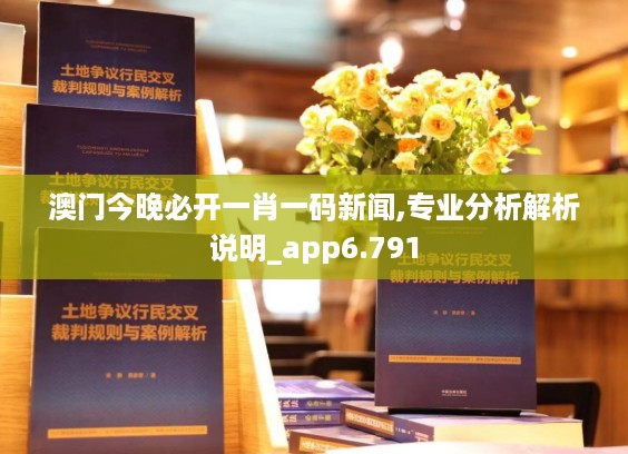 澳门今晚必开一肖一码新闻,专业分析解析说明_app6.791